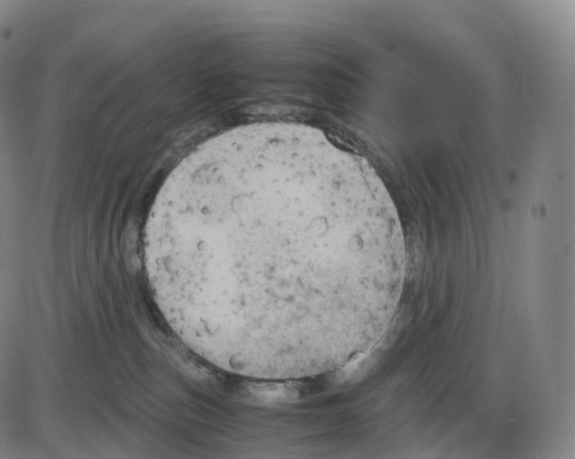 X0000083980187200703161606