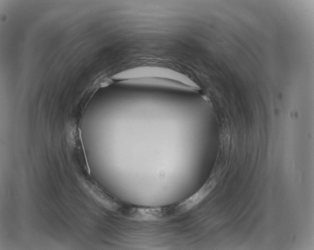 X0000083980188200703161607