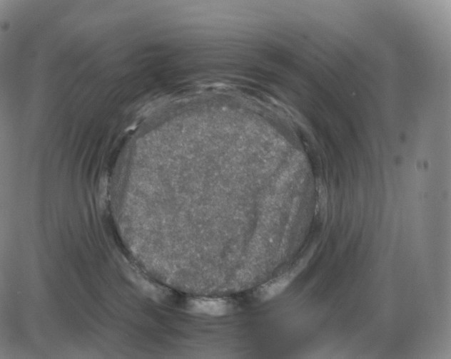 X0000083980189200703161607