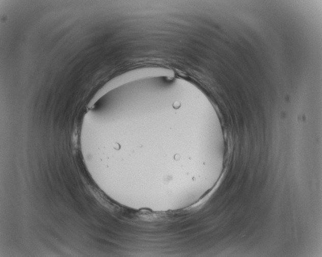 X0000083980190200703161607