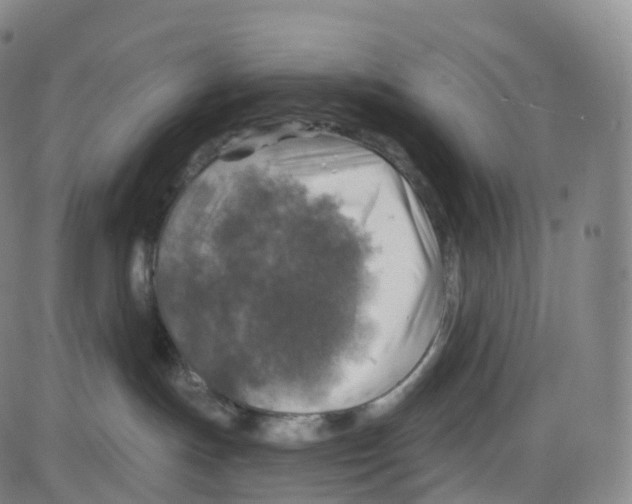 X0000083980191200703161607