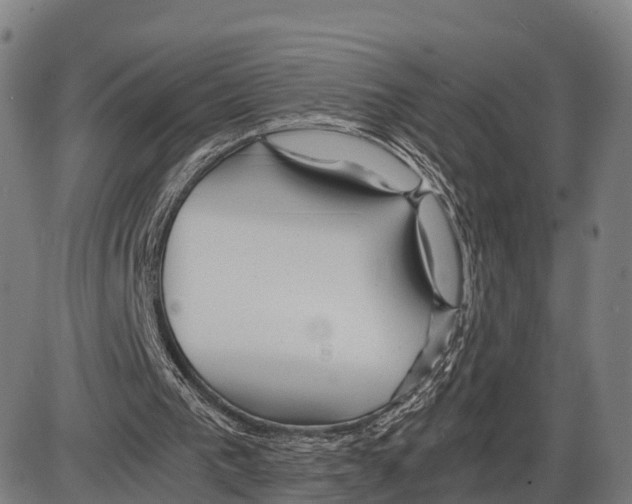 X0000083980193200703161606