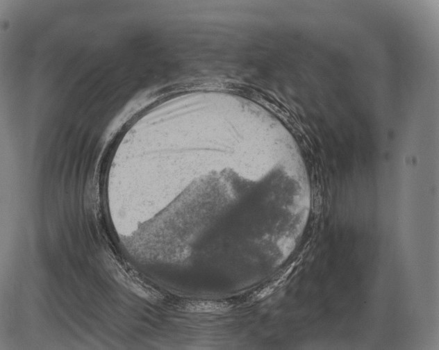 X0000083980198200703161606