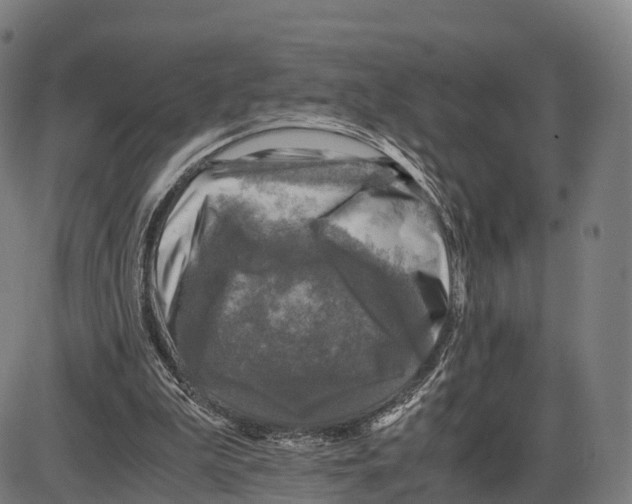 X0000083980199200703161606