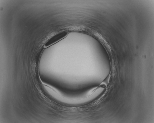 X0000083980201200703161606