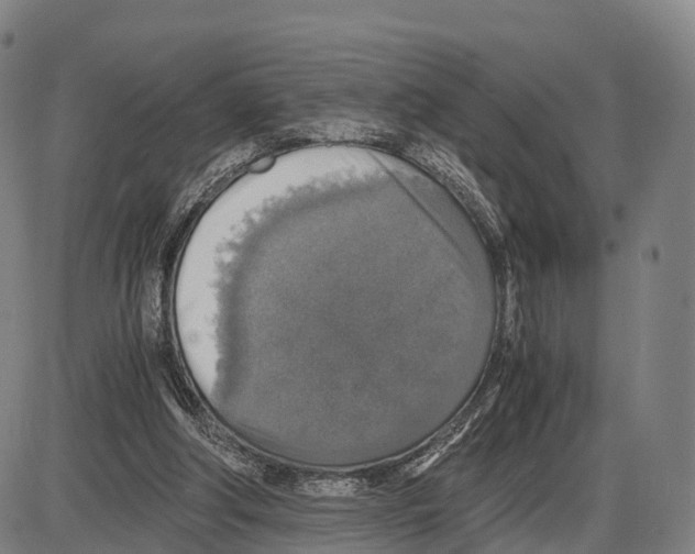 X0000083980202200703161606