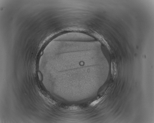 X0000083980204200703161606