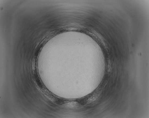 X0000083980210200703161605