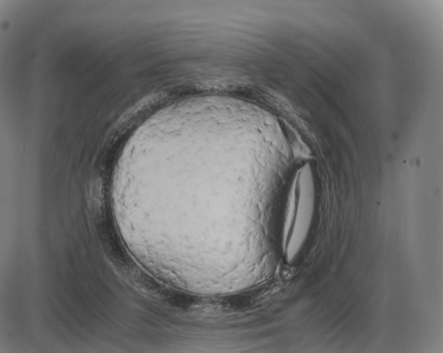 X0000083980211200703161605