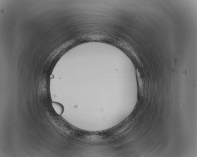 X0000083980212200703161605