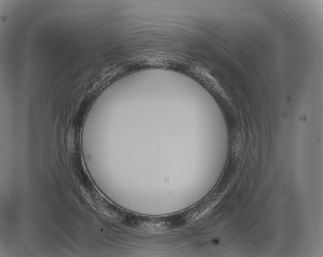 X0000083980213200703161605