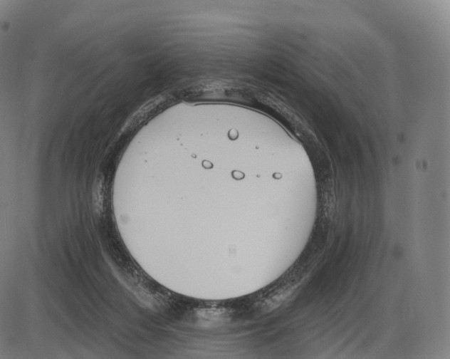 X0000083980216200703161605