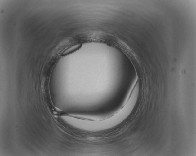 X0000083980217200703161605