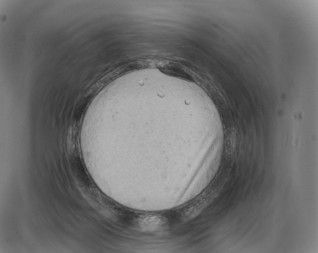 X0000083980218200703161605