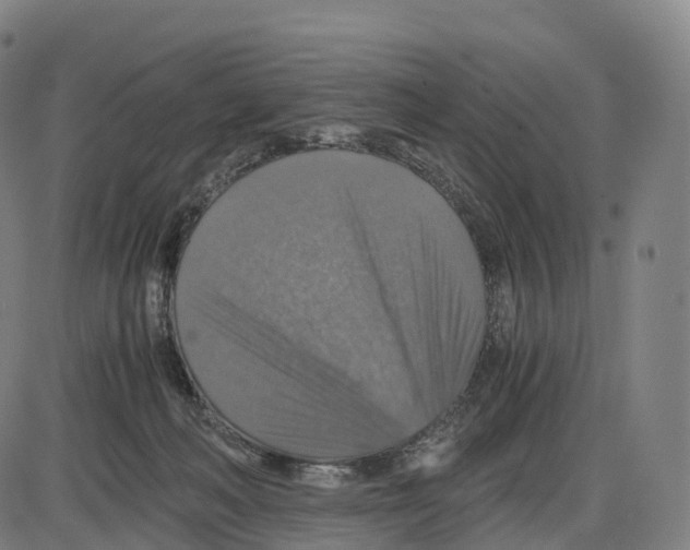 X0000083980222200703161605