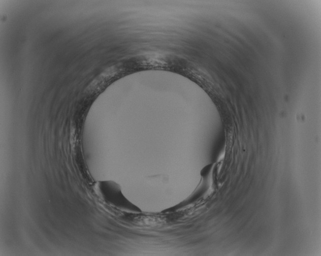 X0000083980223200703161605