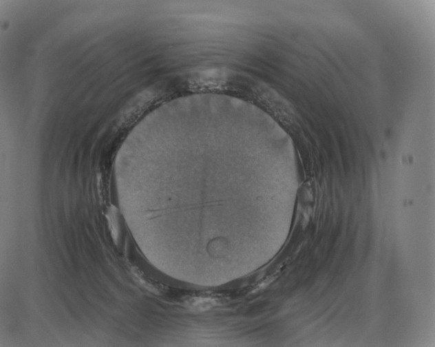 X0000083980224200703161605