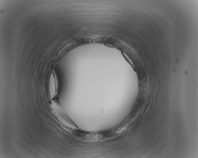 X0000083980225200703161605