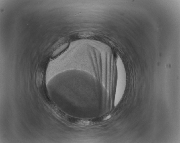 X0000083980227200703161605