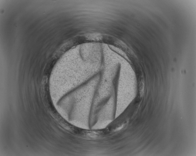 X0000083980229200703161605