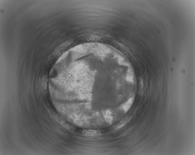 X0000083980230200703161605