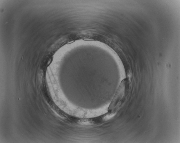 X0000083980231200703161605