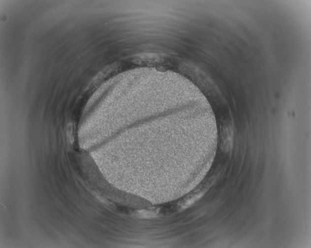 X0000083980232200703161605