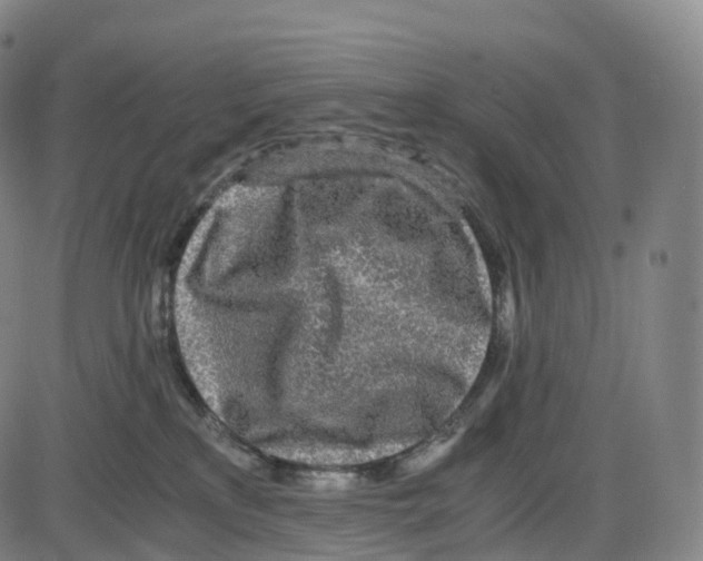 X0000083980233200703161605