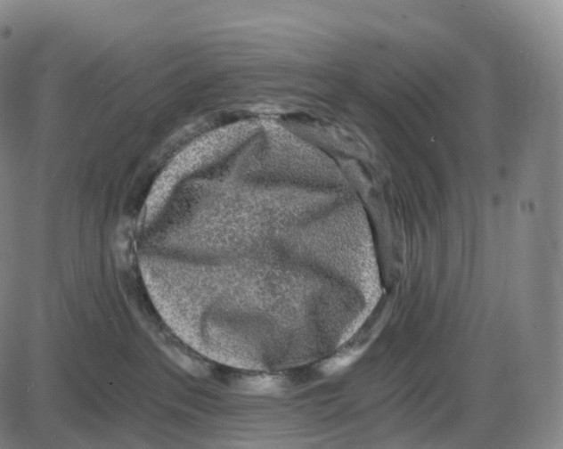 X0000083980237200703161605