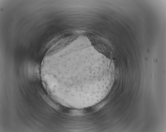 X0000083980238200703161605