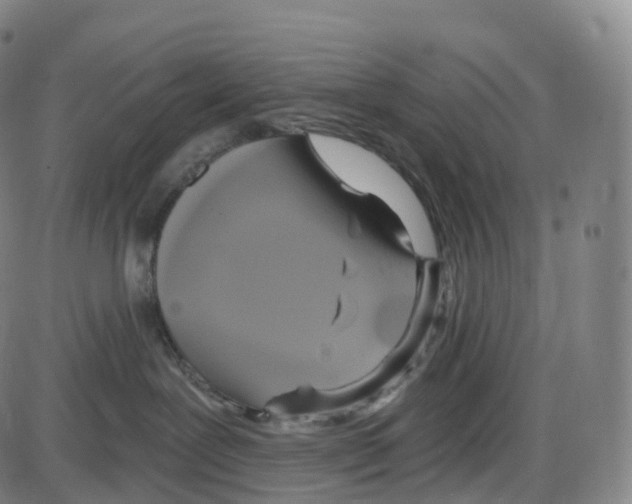 X0000083980239200703161605