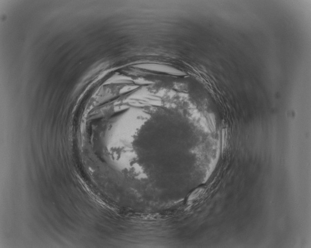 X0000083980243200703161604