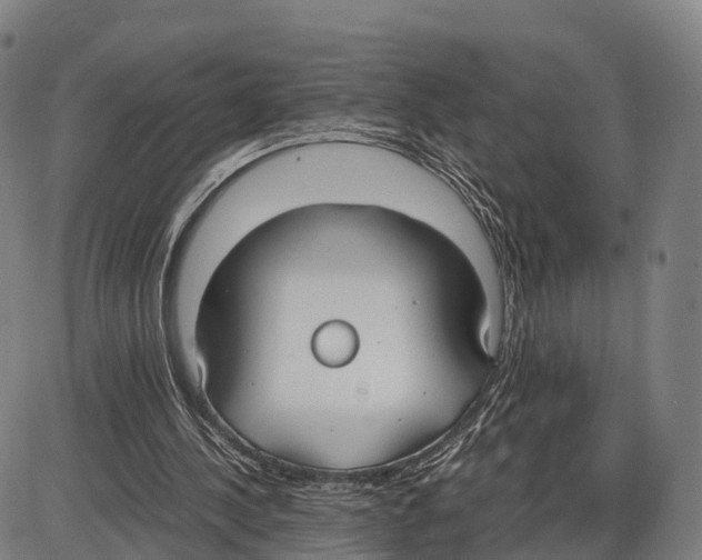 X0000083980244200703161604