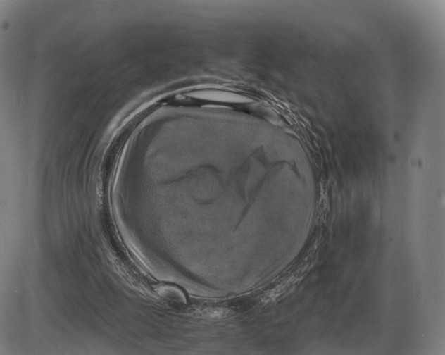 X0000083980247200703161604