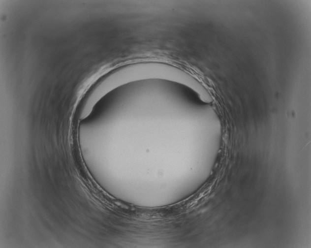 X0000083980248200703161604