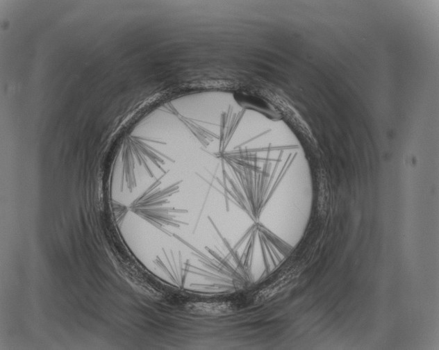 X0000083980251200703161604