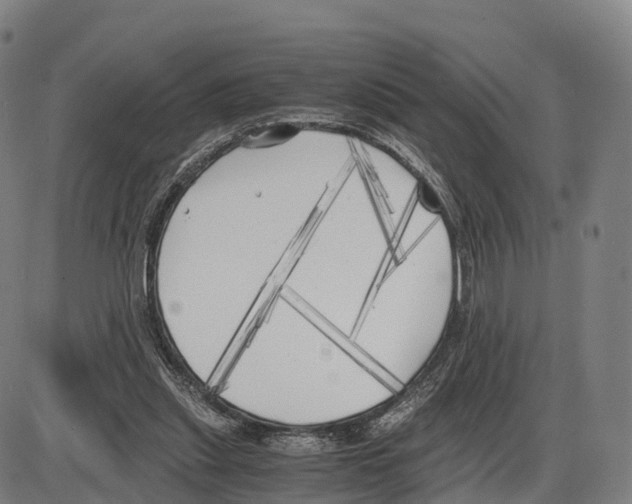 X0000083980253200703161604