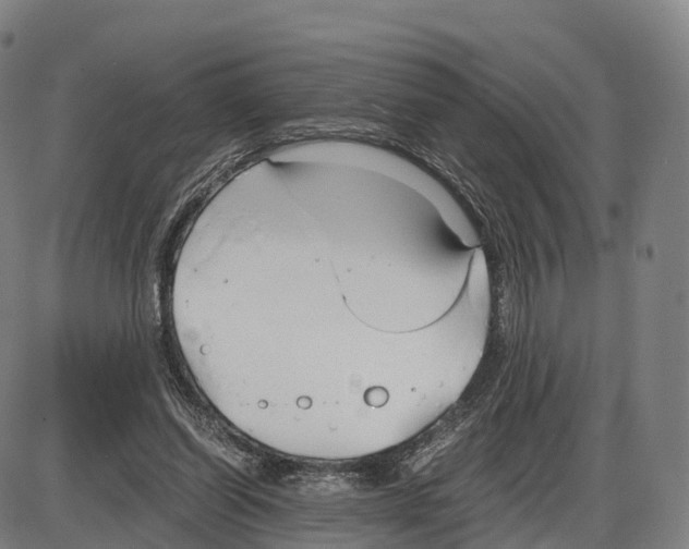 X0000083980254200703161604