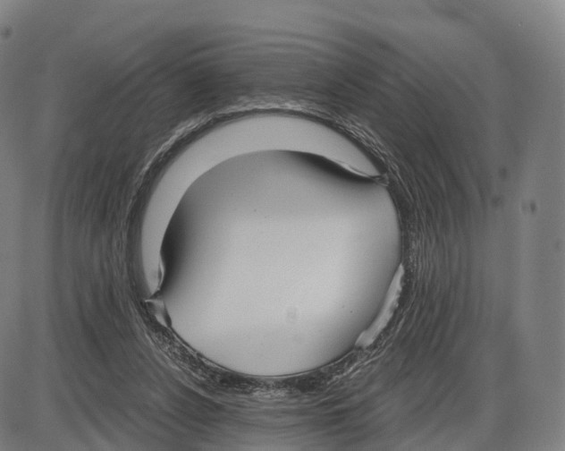 X0000083980256200703161604