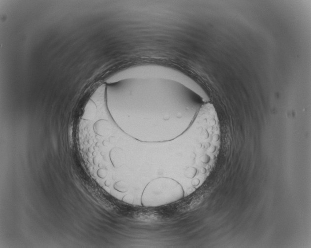 X0000083980262200703161605