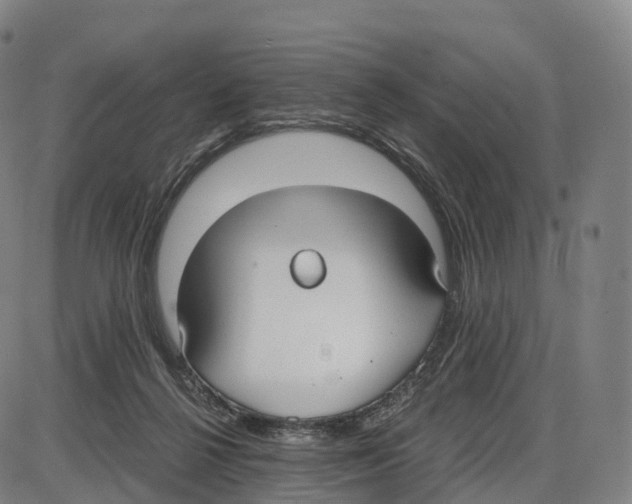 X0000083980264200703161605