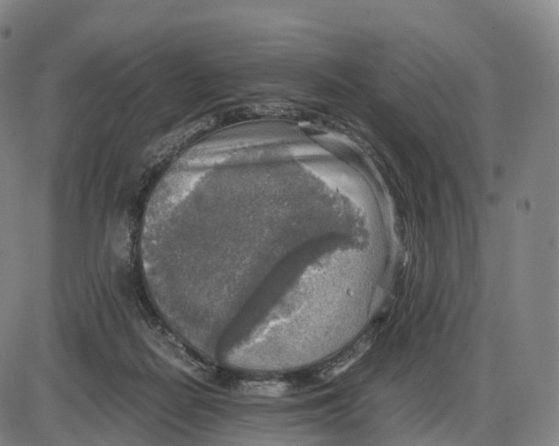 X0000083980266200703161605