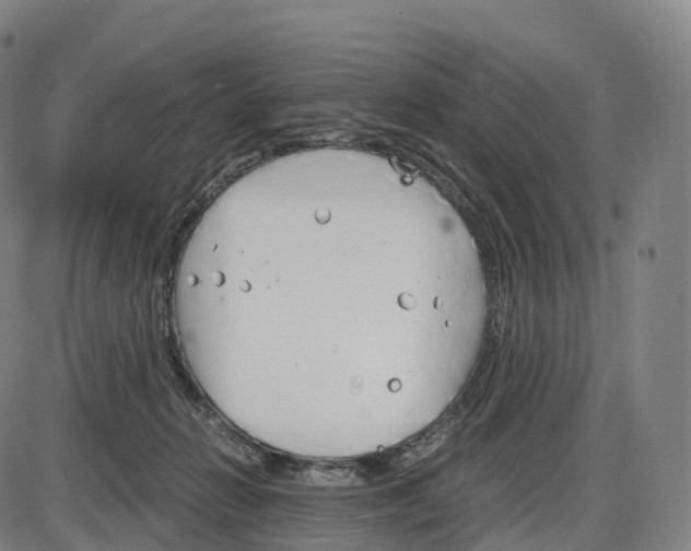 X0000083980270200703161605