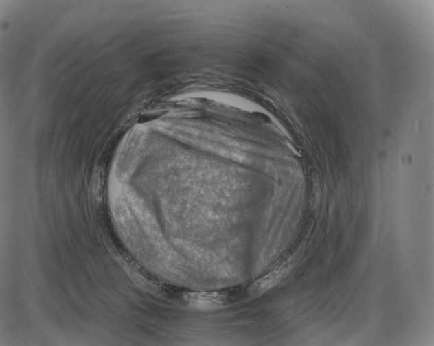 X0000083980273200703161605