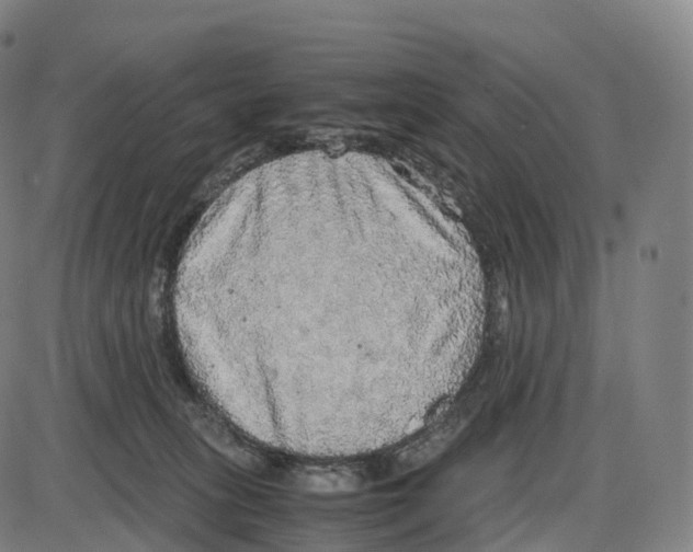 X0000083980275200703161605