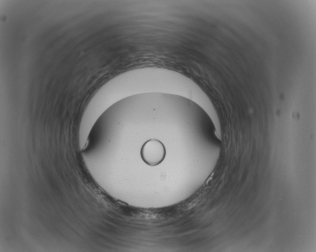 X0000083980276200703161605