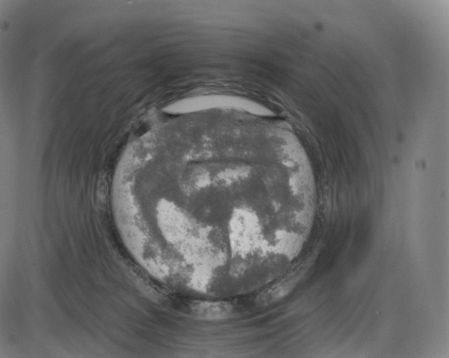 X0000083980277200703161605