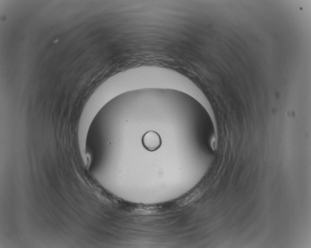 X0000083980280200703161605