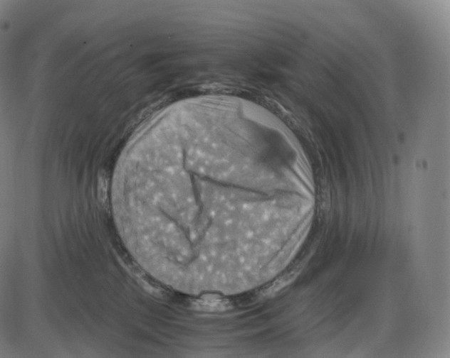 X0000083980281200703161605