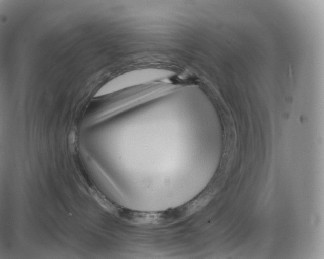 X0000083980288200703161605